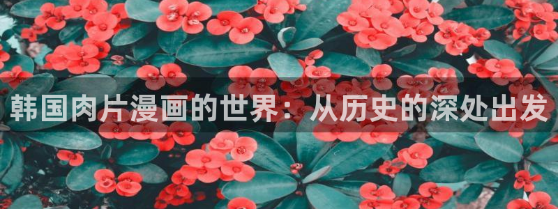 漫画免费韩漫百合：韩国肉片漫画的世界：从历史的深处出发