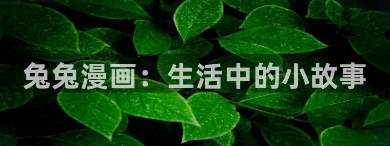第一韩漫网站：兔兔漫画：生活中的小故事